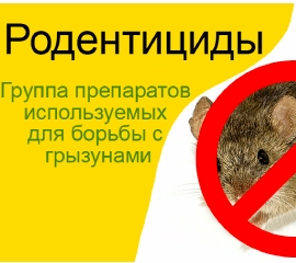 Средства от грызунов