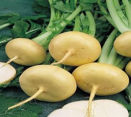 Брюква,Редька
