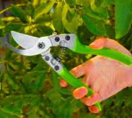 Кусторезы,секаторы,сучкорезы.