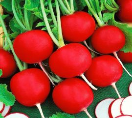 Дайкон,Редис,Репа