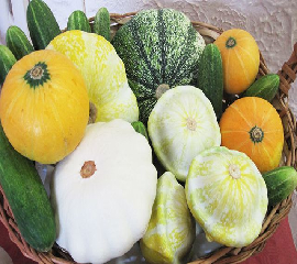Кабачки,Патиссоны,Тыквы