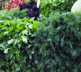 Петрушка,Укроп