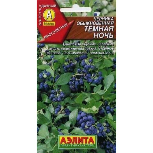 Черника Темная Ночь обыкновенная (Аэлита)