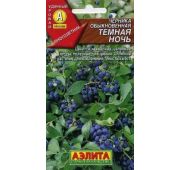 Черника Темная Ночь обыкновенная (Аэлита)