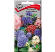 Цветы Агератум Весенние капели (Поиск)