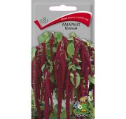Цветы Амарант Красный (Поиск)