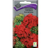 Цветы Гвоздика тур.Алая Красавица (Поиск)
