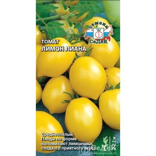 Томат чудо описание сорта фото Томат чудо описание сорта фото