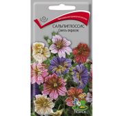 Цветы Сальпиглоссис Смесь (Поиск)