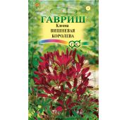 Цветы Клеома Вишневая Королева (Гавриш)