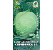 Капуста Сибирячка (Поиск)
