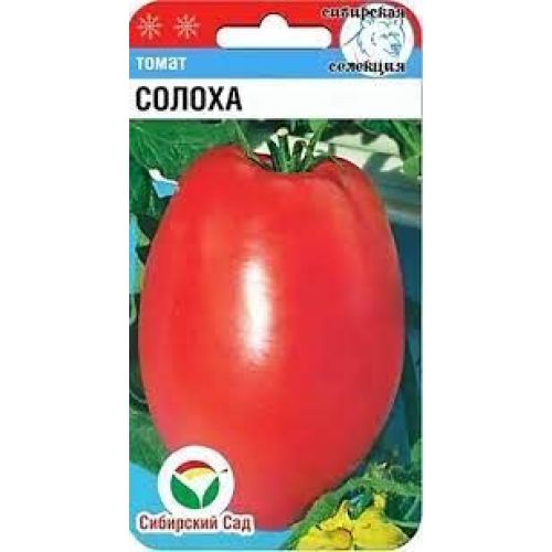 Томат Солоха (СС)