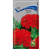 Цветы Лихнис Красный (Поиск)
