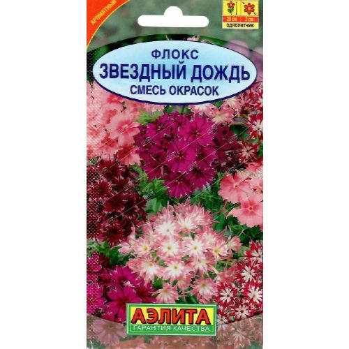 Цветы Флокс Друммонда Звездный дождь (Аэлита)