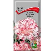 Цветы Гвоздика Баэнигна (Поиск)