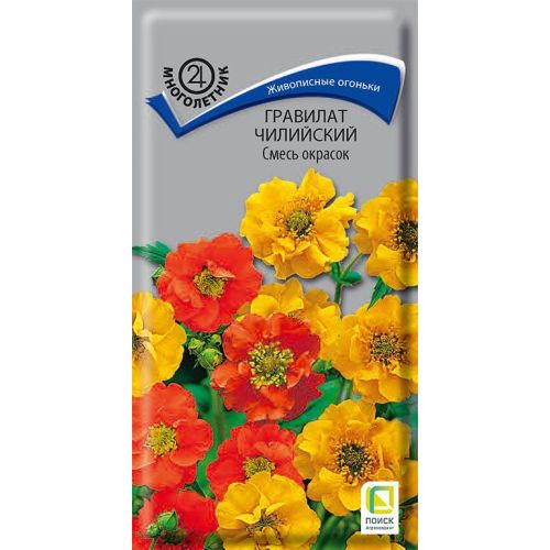Цветы Гравилат Чилийский смесь окрасок (Поиск)