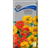 Цветы Гравилат Чилийский смесь окрасок (Поиск)