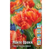 Тюльпан Монте Оранж (махр.ранн) 1 шт.