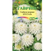 Цветы Скабиоза Хрусталь (Гавриш)