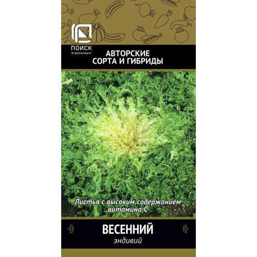 Салат Эндивий Весенний (Поиск)