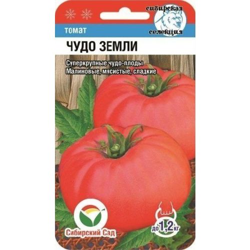 Томат Чудо Земли (СС)