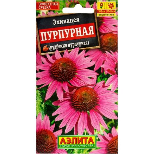 Цветы Эхинацея Пурпурная (Аэлита)