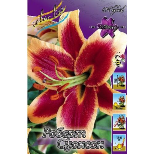 Клубни Лилии МастерСад купить по выгодной цене в интернет-магазине OZON (1543251