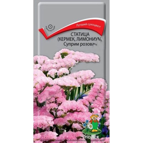 Цветы Статица Суприм розовая   (Поиск)