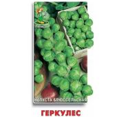 Капуста Брюссельская Геркулес (Поиск)