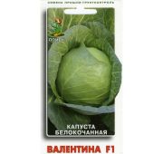 Капуста Валентина F1 (Поиск)