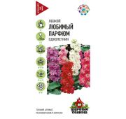 Цветы Левкой Любимый парфюм (Гавриш) УС