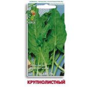 Щавель Крупнолистный (Поиск)
