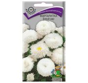 Цветы Маргаритка Белый Шар (Поиск)