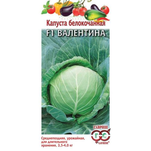 Капуста Валентина F1 (Гавриш)