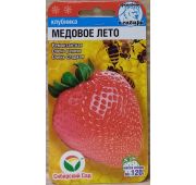 Земляника Медовое лето (СС)
