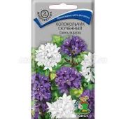 Цветы Колокольчик скрученный смесь (Поиск)
