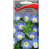 Цветы Нолана Синяя Птица (Поиск)
