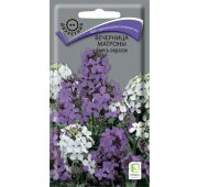 Цветы Вечерница Матроны смесь(Поиск)