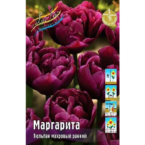 Тюльпан Маргарита (махр.ранн) 1 шт.