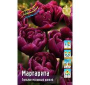 Тюльпан Маргарита (махр.ранн) 1 шт.