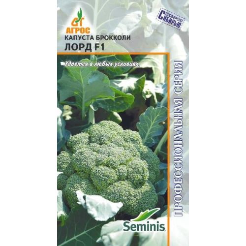 Капуста лорд описание сорта фото отзывы Капуста лорд описание сорта фото отзывы