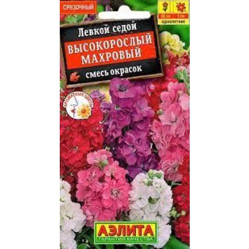 Цветы Левкой Высокорослый махровый (Аэлита)