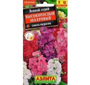 Цветы Левкой Высокорослый махровый (Аэлита)