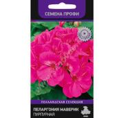 Цветы Пеларгония Маверик Пурпурная (Поиск)
