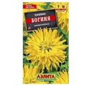 Цветы Цинния Богиня (Аэлита)