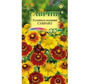 Цветы Гелениум Санрайз (Гавриш)
