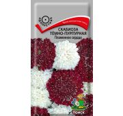 Цветы Скабиоза Пламенное Сердце (Поиск)