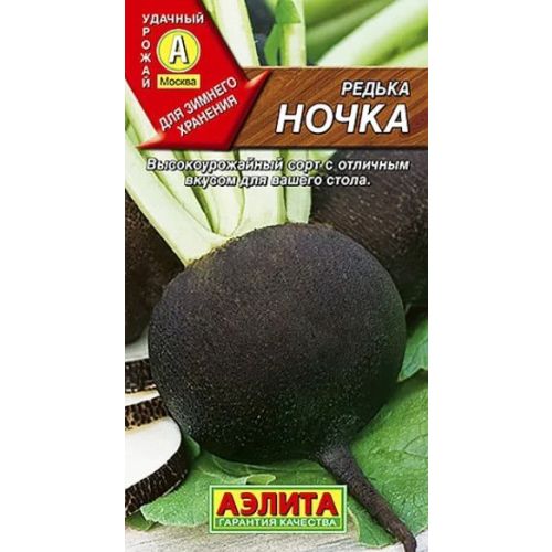 Редька Ночка (Аэлита)