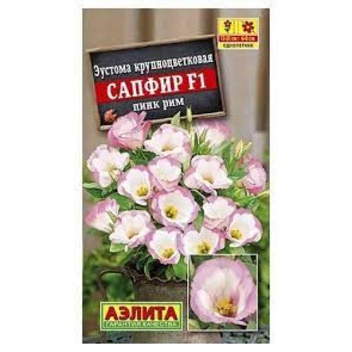 Цветы Эустома Сапфир Пинк Рим (Аэлита)