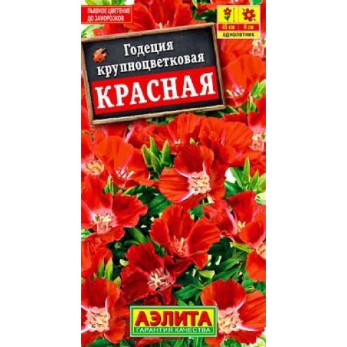 Цветы Годеция Красная (Аэлита)